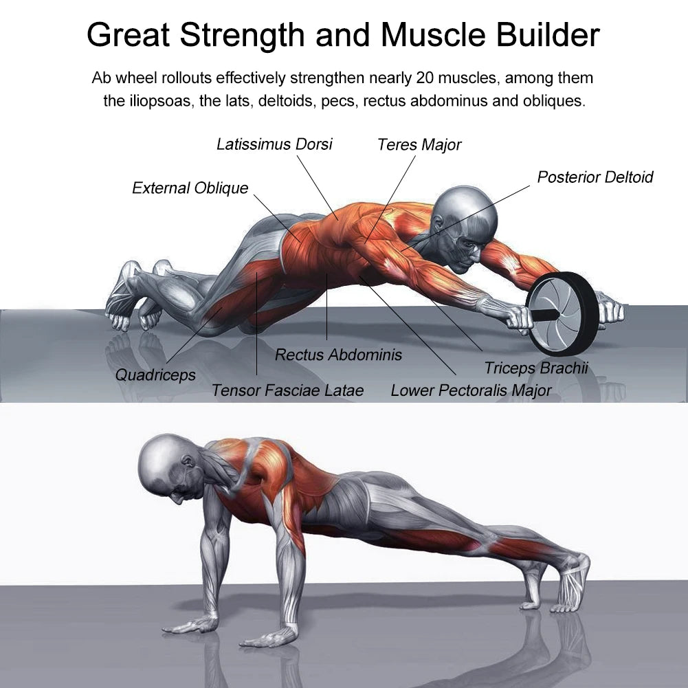 Ab Roller Wheel, Abs Workout Equipment for Abdominal & Core Strength Training, Exercise Wheels for Home Gym, Fitness Equipment